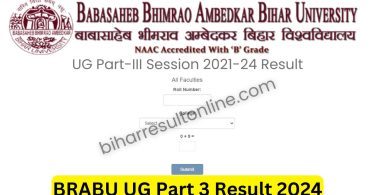 BRABU UG Part 3 Result 2024