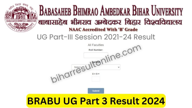 BRABU UG Part 3 Result 2024