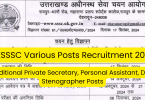 UKSSSC Personal Assistant Recruitment 2024