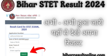 Bihar STET Entrance Exam Result 2024