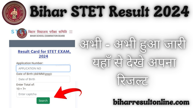 Bihar STET Entrance Exam Result 2024