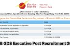 IPPB GDS Executive Recruitment 2024