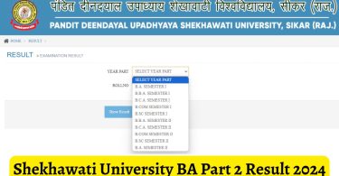 PDUSU 2nd Semester Result 2024