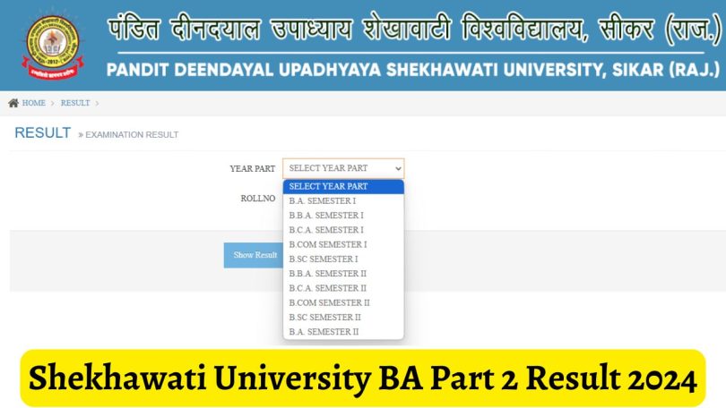 PDUSU 2nd Semester Result 2024