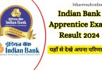 Indian Bank Apprentice Result 2024