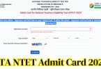 National Testing Agency NTET Admit Card 2024