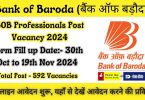 BOB Professionals Recruitment 2024