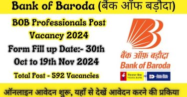 BOB Professionals Recruitment 2024